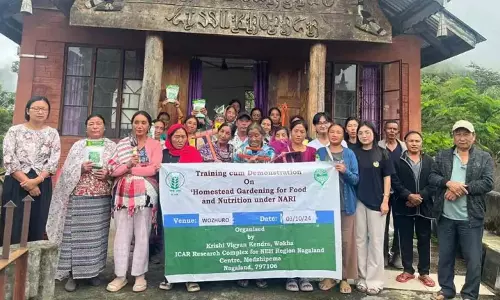 Nagaland : संकीटोन में घरेलू बागवानी पर प्रशिक्षण और प्रदर्शन