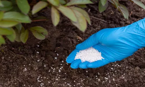 Kharif Season 2024: उर्वरकों की समय पर आपूर्ति के लिए...