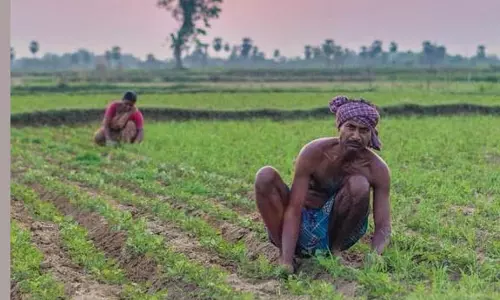 PM-Kisan Yojana की 18वीं किस्त 5 अक्टूबर 2024 को जारी