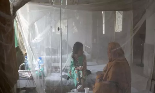 पाकिस्तान में Dengue के मामलों में वृद्धि, सरकार ने जारी किया अलर्ट