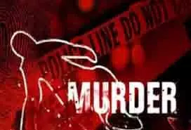 Jharkhand Crime: डायन बताकर महिला की हत्या