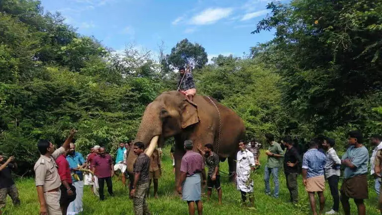 Kerala: फिल्म की शूटिंग के दौरान भटक गए पुथुपल्ली साधु