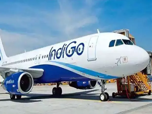 IndiGo outage: एयरलाइंस को अस्थायी सिस्टम स्लोडाउन का सामना करना पड़ रहा