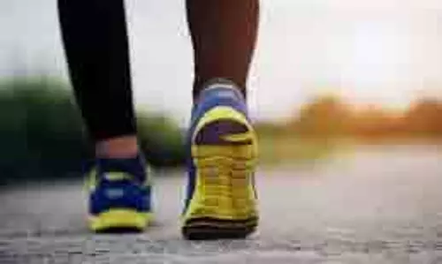 Weight Loss Tips: बिना डाइटिंग के ऐसे घटाएं वजन Weight Loss Tips: बिना डाइटिंग के ऐसे घटाएं वजन