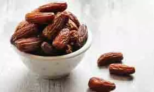Dates Benefits: कमजोरी और फौलाद जैसी मजबूत हो जाएंगी हड्डियां Dates Benefits: कमजोरी और फौलाद जैसी मजबूत हो जाएंगी हड्डियां