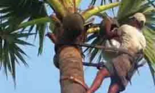 Bihar: ताड़ी निकालने पेड़ पर चढ़े युवक की  मौत
