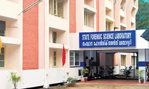 एफएसएल-सीईएल विलय का अध्ययन करने के लिए गठित पैनल इस वर्ष रिपोर्ट दाखिल करेगा