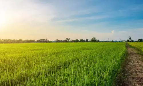 Agriculture Ministry: सुधारों से कृषि योजनाओं का युक्तिकरण अधिक कुशल