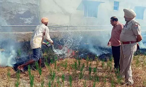 Punjab: इस वर्ष खेतों में आग लगने की घटनाओं में 72% की कमी