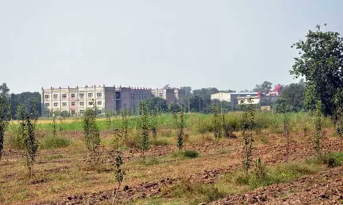 Khalsa विश्वविद्यालय व्यावसायिक पाठ्यक्रमों पर ध्यान केंद्रित करेगा