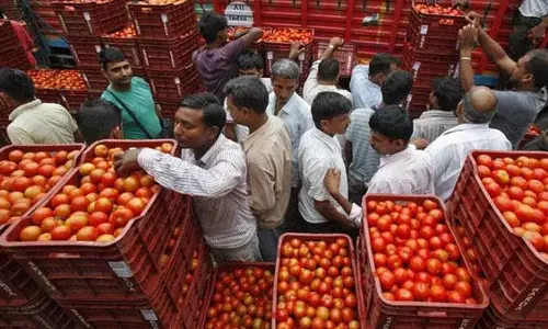 Navratri के तीसरे दिन टमाटर भाव में 24 घंटे में 20 रुपये महंगा हुआ