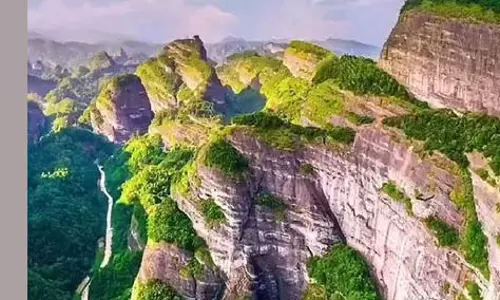 Great News: अंटार्कटिका नाटकीय रूप से हरा भरा हो रहा