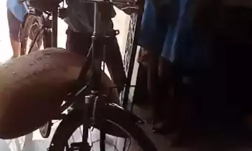 मैडम टीचर का कारनामा, चावल ढो रहे छात्र