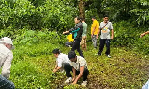 Sikkim : पाकयोंग में बंजर भूमि पर खेती करने का अभियान 11वें दिन, टिकाऊ कृषि का लक्ष्य
