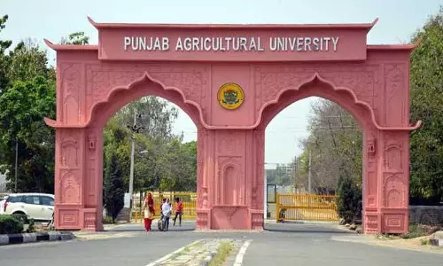 कृषि विश्वविद्यालय की Dr. Parveen Chhuneja ने जीती INSA फेलोशिप