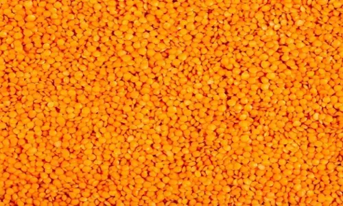Uttar Pradesh: अरहर दाल का बाजार भाव