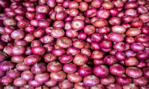 Rajasthan: प्याज का बाजार भाव