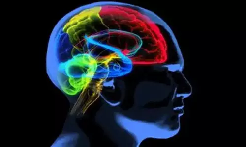 Alzheimers रोगियों के बीच मस्तिष्क सिकुड़ने का पैटर्न अलग-अलग Alzheimers रोगियों के बीच मस्तिष्क सिकुड़ने का पैटर्न अलग-अलग
