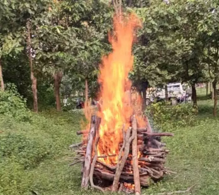 भालू की मौत, वन विभाग ने किया अंतिम संस्कार