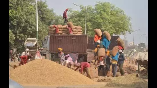 पंजाब सरकार द्वारा मांगें मान लिए जाने के बाद चावल मिल मालिकों ने हड़ताल वापस ली