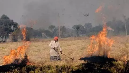 DEHLI: सुप्रीम कोर्ट ने केंद्र, हरियाणा और पंजाब को फटकार लगाई