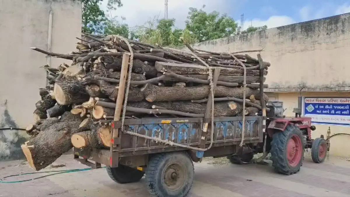 Dhanera Mamlatdar ने लकड़ी से भरे तीन ट्रैक्टर किए जब्त