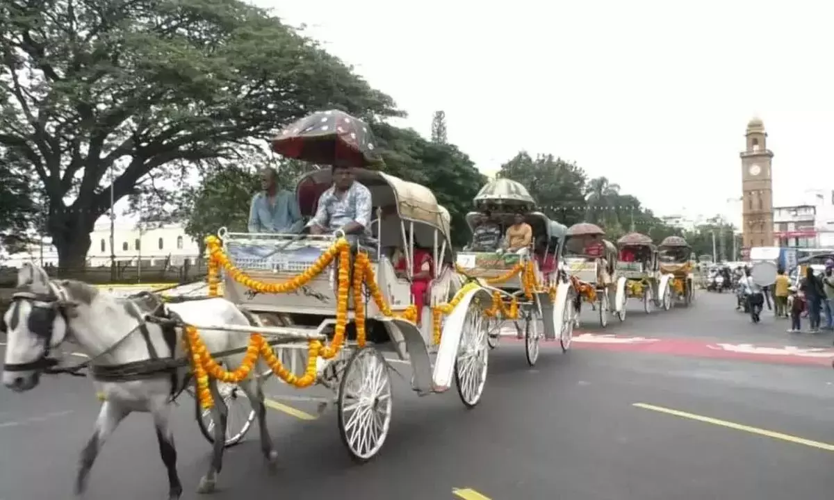 Mysore दशहरा पर पारंपरिक तांगा की सवारी ने पर्यटकों को किया रोमांचित