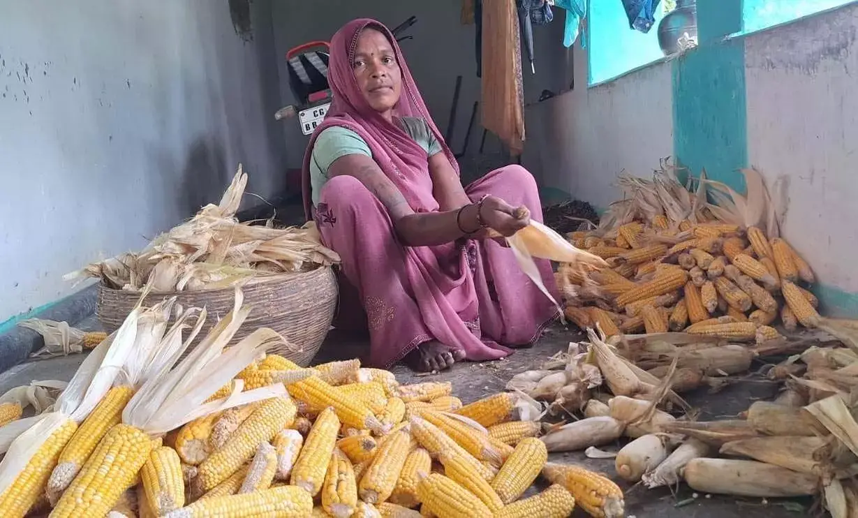 पहाड़ी क्षेत्र की रामबाई के लिए महतारी वंदन योजना की राशि किसी संजीवनी से कम नहीं