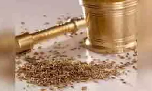 हेल्थ: जीरा, सौंफ और धनिया का पानी पीने से शरीर को मिलते हैं कई फायदे हेल्थ: जीरा, सौंफ और धनिया का पानी पीने से शरीर को मिलते हैं कई फायदे