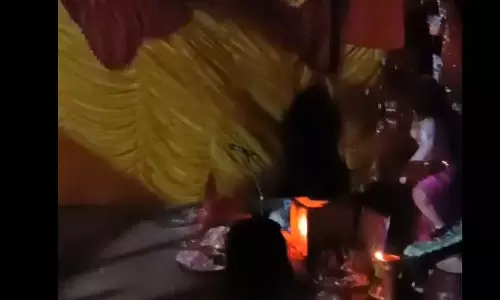 तेल पीने दुर्गा पंडाल पहुंचा भालू