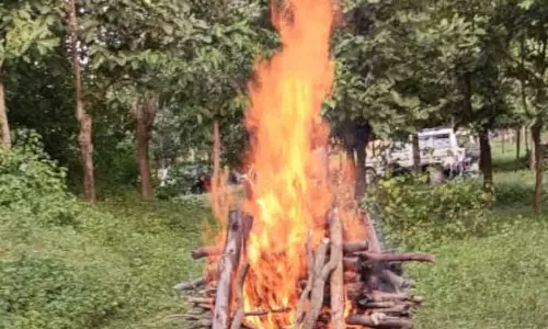 भालू की मौत, वन विभाग ने किया अंतिम संस्कार