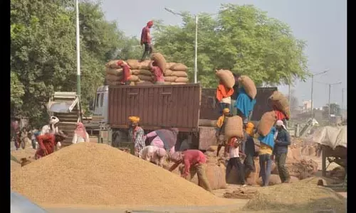 पंजाब सरकार द्वारा मांगें मान लिए जाने के बाद चावल मिल मालिकों ने हड़ताल वापस ली