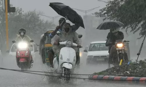 Weather: दिल्ली और पंजाब में बदला मौसम, तेज हवाओं के साथ कई जगहों पर हुई बारिश Weather: दिल्ली और पंजाब में बदला मौसम, तेज हवाओं के साथ कई जगहों पर हुई बारिश