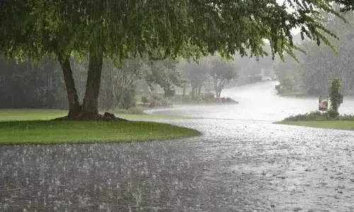 Odisha: इन जिलों में आंधी-तूफान के लिए येलो अलर्ट जारी