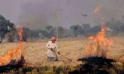DEHLI: सुप्रीम कोर्ट ने केंद्र, हरियाणा और पंजाब को फटकार लगाई DEHLI: सुप्रीम कोर्ट ने केंद्र, हरियाणा और पंजाब को फटकार लगाई