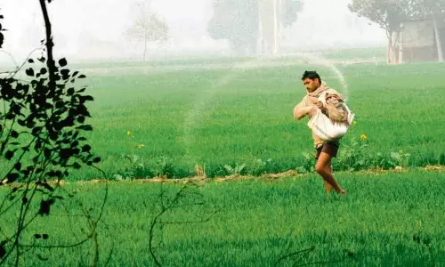 Punjab: फसलों पर जलवायु परिवर्तन के प्रभाव से निपटने के लिए विशेषज्ञ पूर्वानुमान मॉडल अपना रहे
