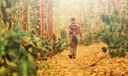 सांसद ने कोको किसानों के लिए MSP की मांग की