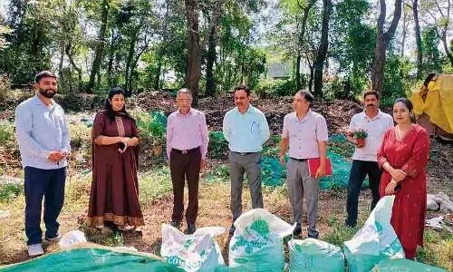 Himachal : युवा उद्यमी ने वर्मीकम्पोस्ट उद्यम के लिए प्रशंसा प्राप्त की Himachal : युवा उद्यमी ने वर्मीकम्पोस्ट उद्यम के लिए प्रशंसा प्राप्त की