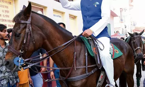 Haryana :  भाजपा सांसद जिंदल घोड़े पर सवार होकर मतदान केंद्र पहुंचे