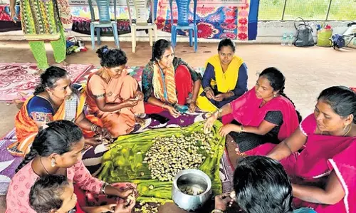 लांबासिंगी FPO ने आदिवासी किसानों को सीधे बाजार तक पहुंच सुनिश्चित की