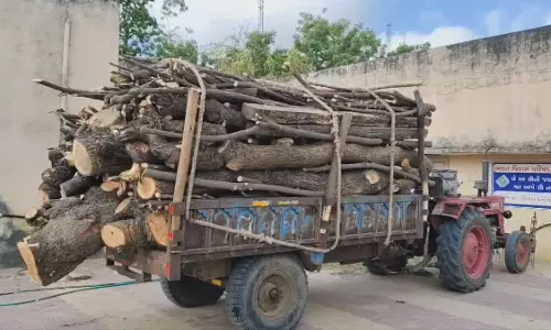Dhanera Mamlatdar ने लकड़ी से भरे तीन ट्रैक्टर किए जब्त