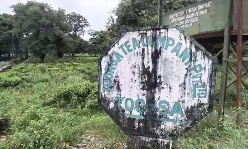 Alipurduar में 19 बंद चाय बागानों के लगभग 12,000 श्रमिकों को मिलेगी अनुग्रह राशि