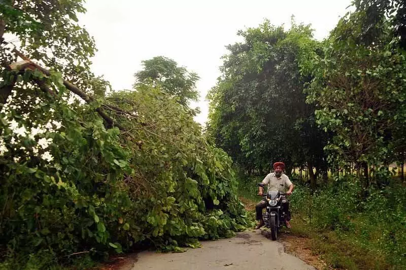 Amritsar: निवासियों को बिजली कटौती का सामना करना पड़ रहा