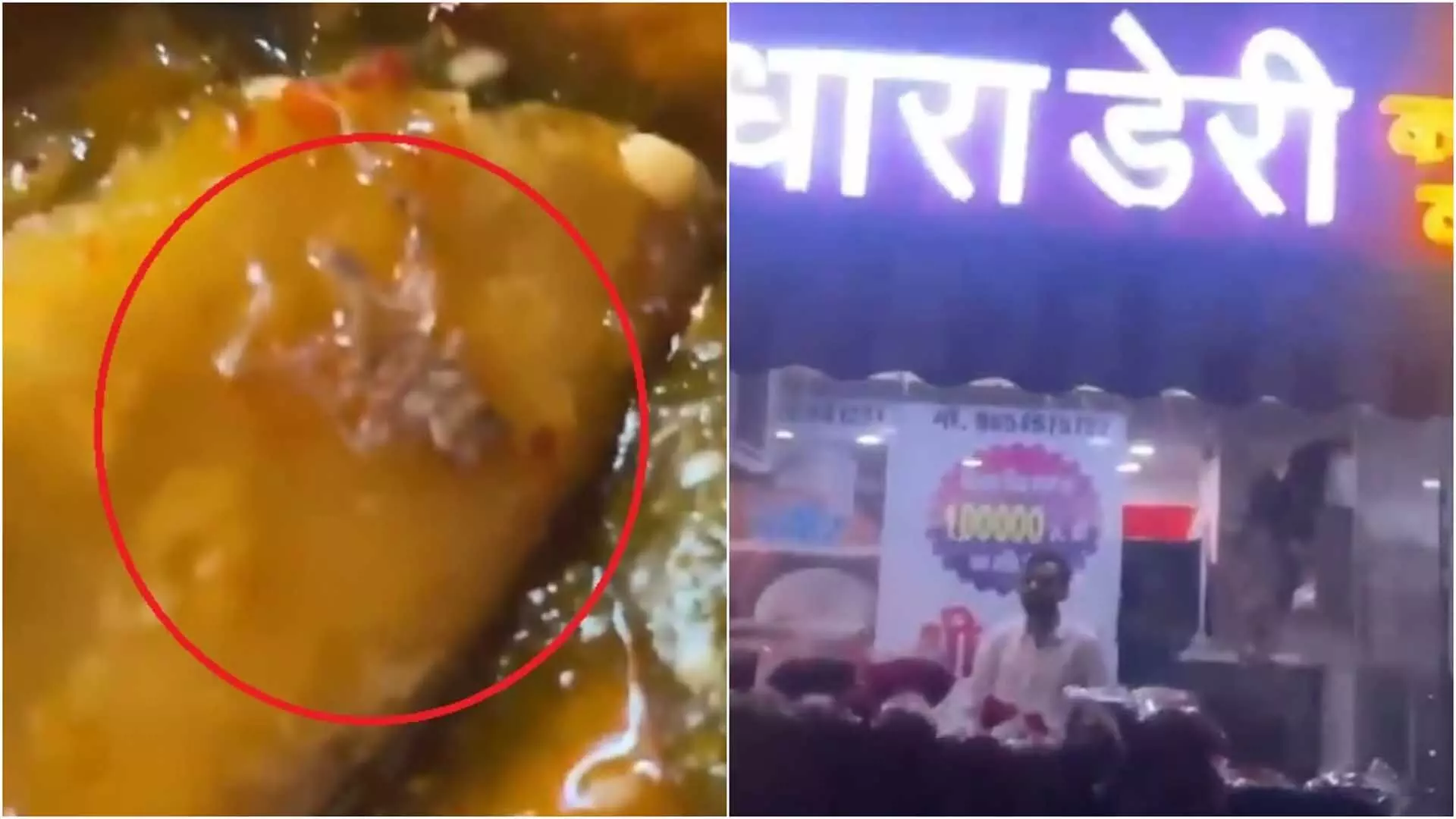 समोसे में मरी हुई मकड़ी मिलने से ग्राहक हैरान, कार्रवाई की मांग, देखें VIDEO...