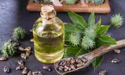 Hair Oil: टूटते, झड़ते और रूखे बालों के लिए घर पर बनाएं चमत्कारी तेल Hair Oil: टूटते, झड़ते और रूखे बालों के लिए घर पर बनाएं चमत्कारी तेल