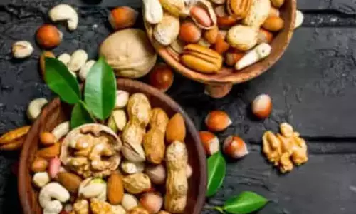 सुबह उठते ही इस सूखे मेवे का पानी पिये सुबह उठते ही इस सूखे मेवे का पानी पिये