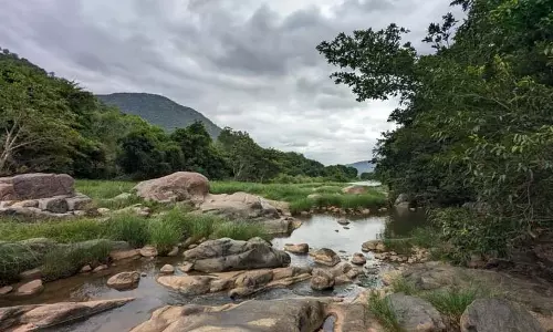 Odisha के वन्यजीव अभयारण्यों के अंदर 756 गांव अभी भी हैं
