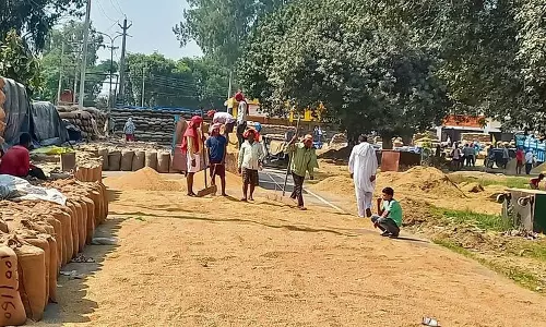 Haryana : यमुनानगर जिले में केवल 34,640 मीट्रिक टन ग्रेड-ए धान की खरीद हुई