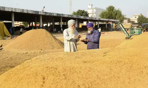 Jalandhar के किसान उपज की रखवाली में मंडियों में रातें गुजार रहे