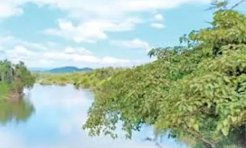 Environmentalists: महादेई नदी का पानी मोड़ने से गोवा और उत्तरी कर्नाटक बर्बाद हो जाएंगे